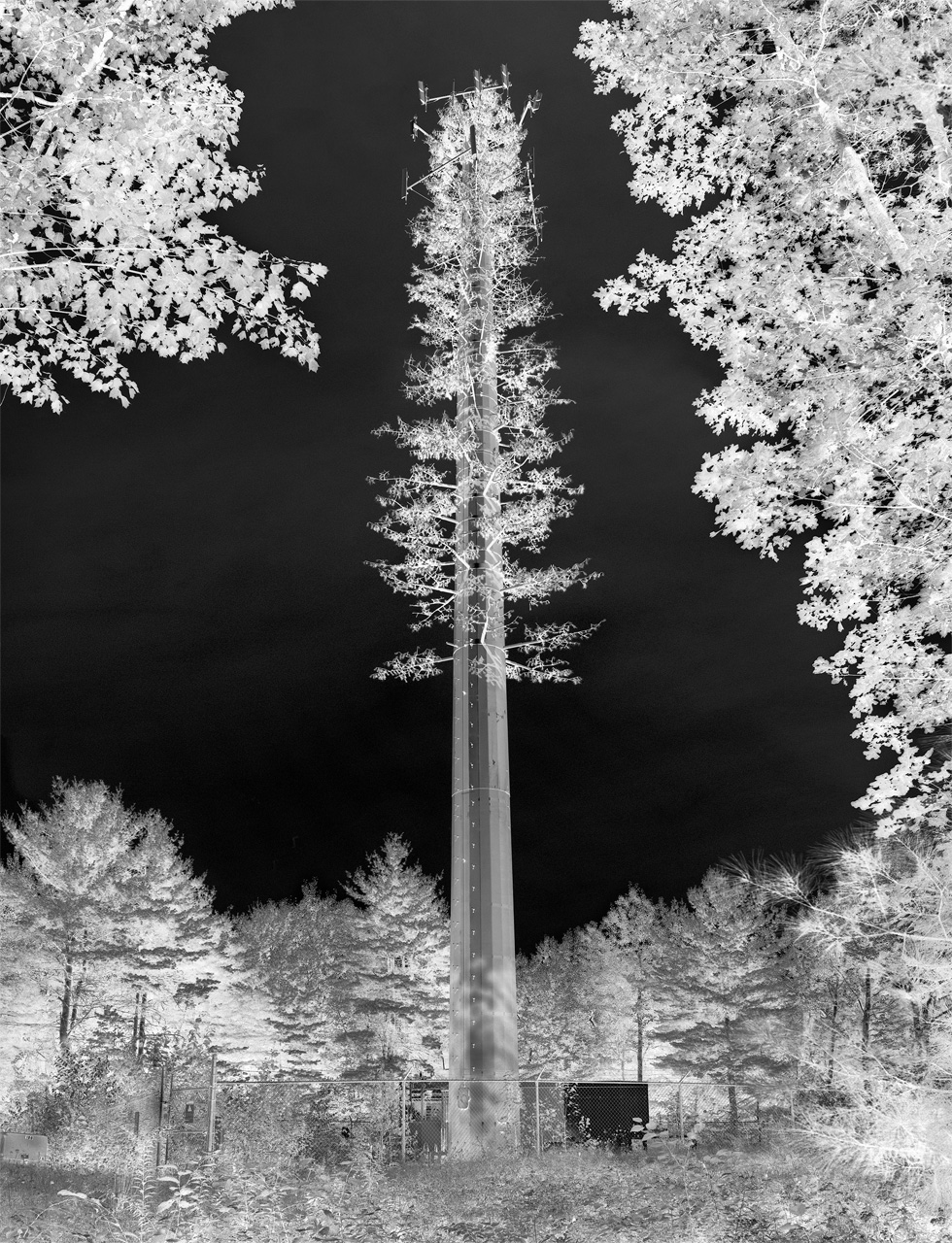 Fake-Tree-Tower-NY-flat-2012.jpg