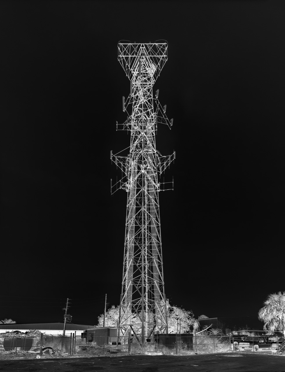 Florida-tower-with-nest-2012.jpg