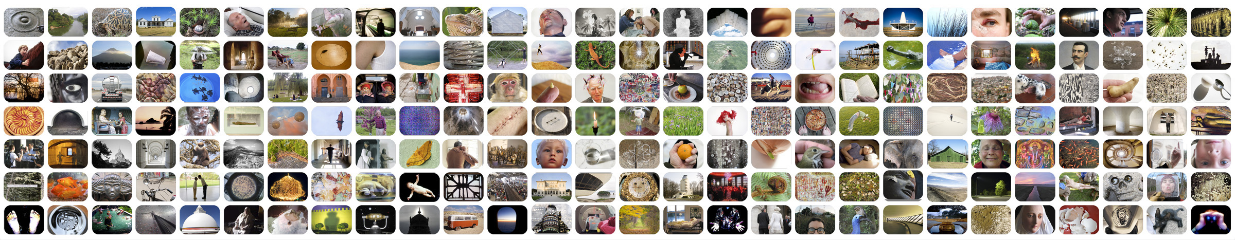 Myriad Layout for web.jpg